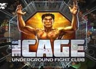 общий вид слота The Cage